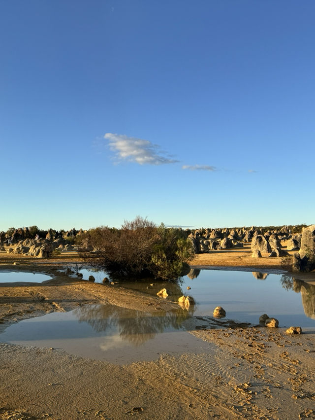 Pinnacles Desert- Out of this world view