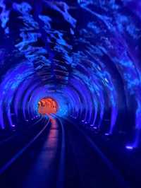 Bund Sightseeing Tunnel: A Quirky Ride Under the River