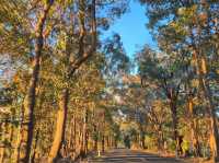Margaret River