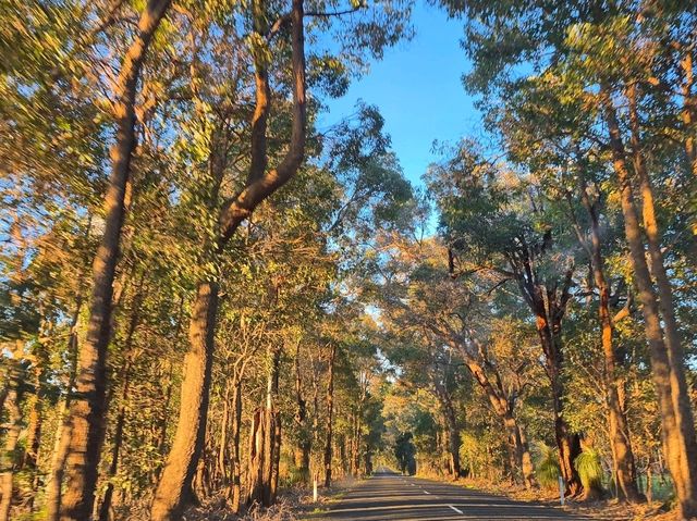 Margaret River