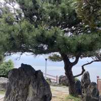 Jeju's Natural Wonder: The Unique Charm of Yongduam Rock