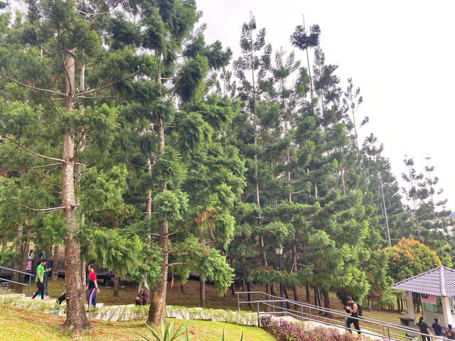 Rise & Shine at Taman Saujana Hijau: Where Joggers Meet Oxygen and Selfies! Rise & Shine at Taman Saujana Hijau: Where Joggers Meet Oxygen and Selfies!