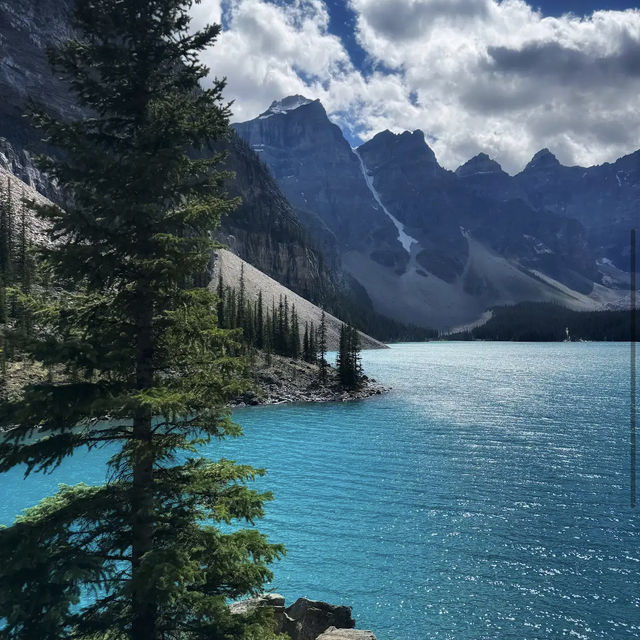 Moraine Lake 🏞️🌲