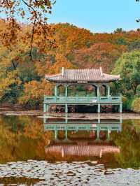 【中山公園｜南京綠意與歷史寫給城市的長信】