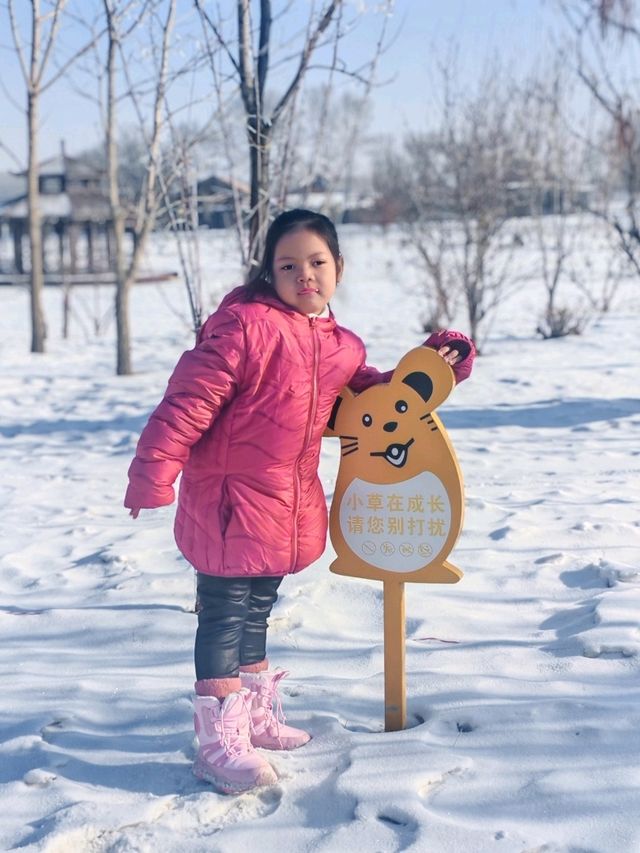 HARBIN, CHINA JAN 2025
