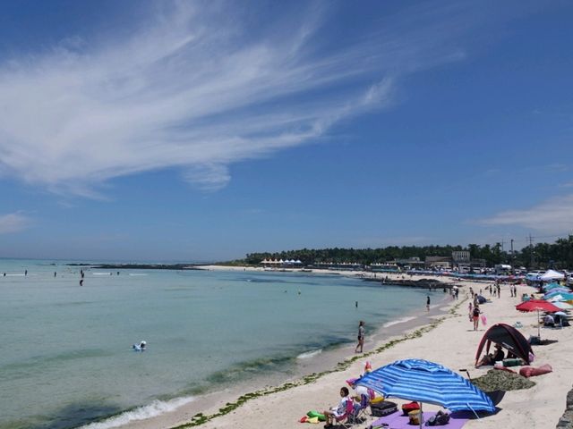 🏖 금능해수욕장 – 푸른 바다와 에메랄드 빛의 향연