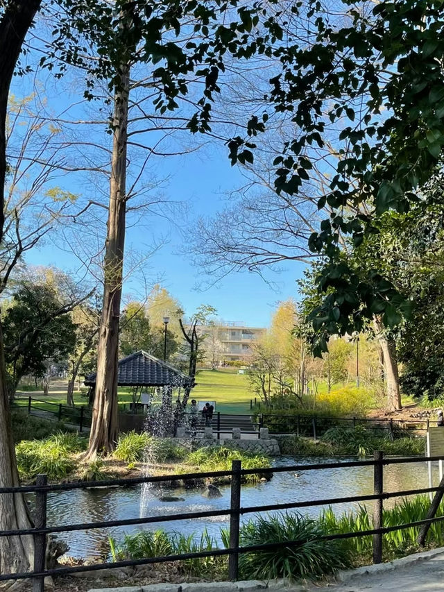 Otomeyama Park: A Peaceful Urban Retreat in Tokyo