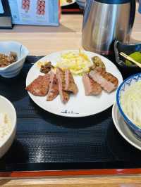 新潟 無法形容的美麗城市