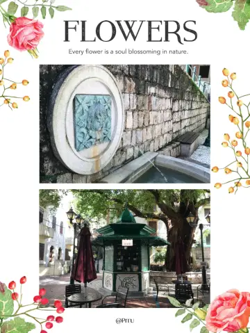 色彩繽紛葡式小屋靚相攻略📸