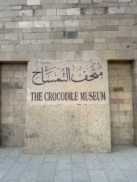 🌟 Crocodile Museum – Aswan, Egypt