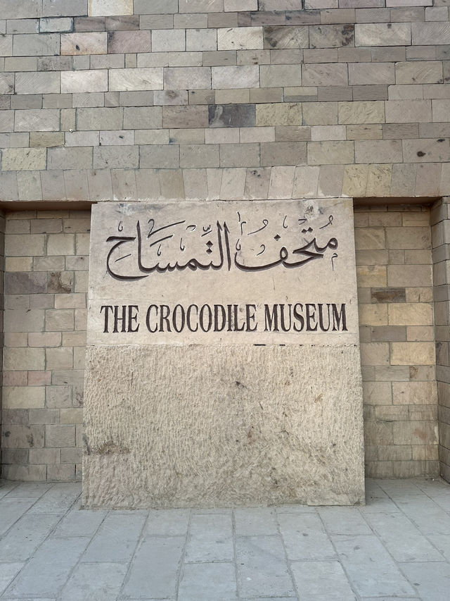 🌟 Crocodile Museum – Aswan, Egypt