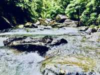 🌿「追隨水聲，一步步走進山林的心跳節奏。」