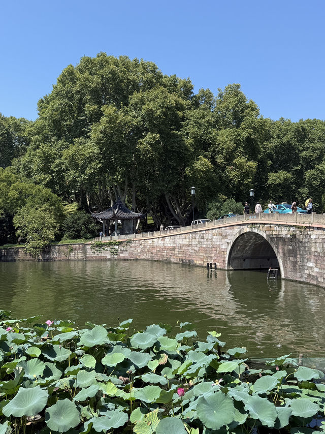 【旅程】上海→蘇州→杭州→上海