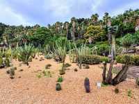 巴塞隆納 | Jardi Botanic Historic，城市裡的秘境小花園