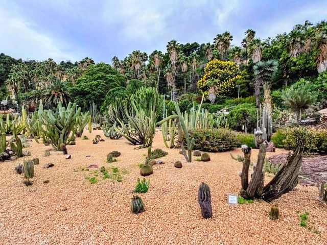 巴塞隆納 | Jardi Botanic Historic，城市裡的秘境小花園