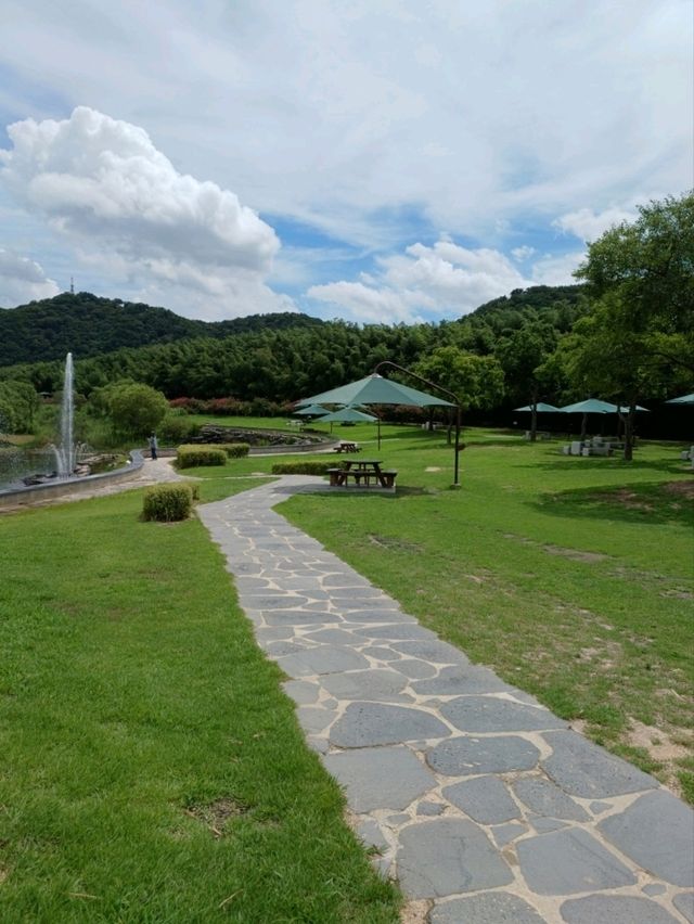 도심 속 자연 천국 🌿