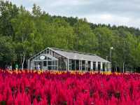 Farm Tomita Hokkaido