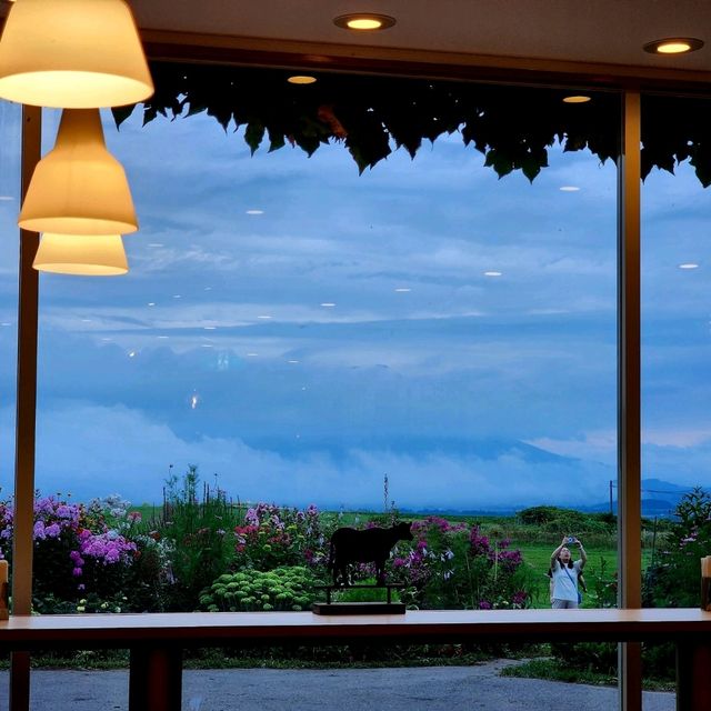 Lake Hill Farm: The Must-Try Ice Cream Spot in Toyako 🙌🍦