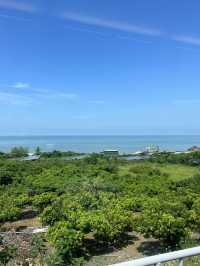 屏東枋山鄉｜海與芒果交會的山腰小鎮：沿著海台一線看藍、在果園裡聞到夏天 🍋🌊