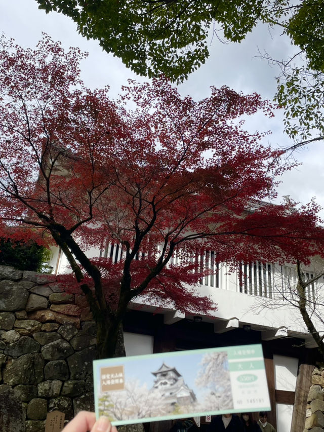 躲過戰火的現存最古老木造天守閣--愛知犬山城