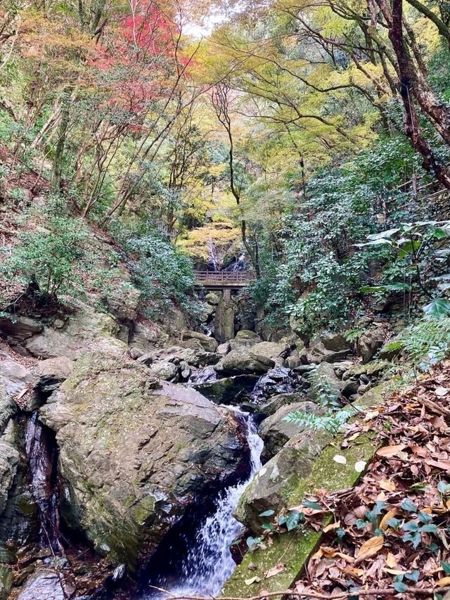 【錦秋の滝】愛媛・白滝公園 【錦秋の滝】愛媛・白滝公園