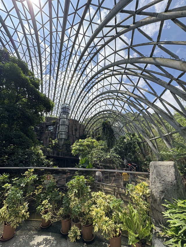 臺北市立動物園🐼親子一日遊攻略🦒