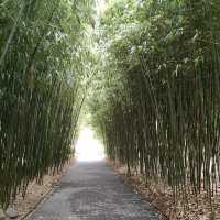 Loki Schmidt Garden Botanical of University Hamburg