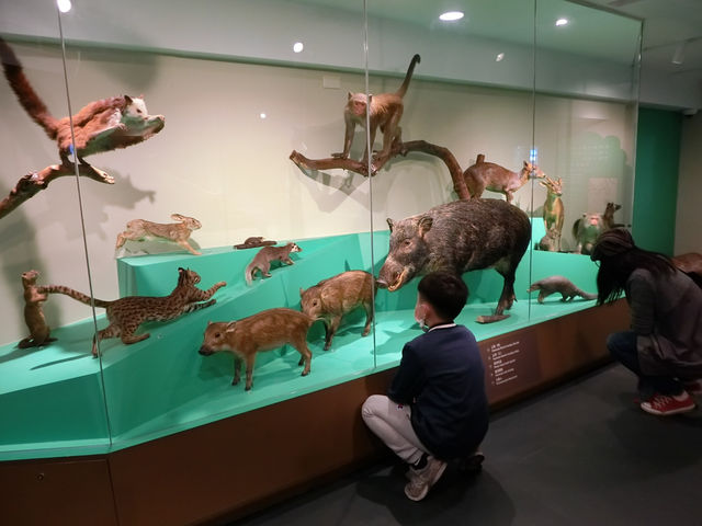 什麼?怎麼會是到銀行看古生物? 什麼?怎麼會是到銀行看古生物?