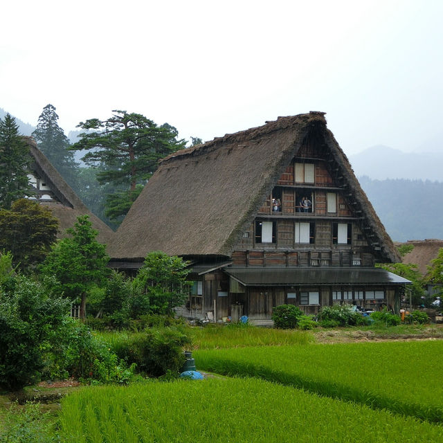 無人不曉的世界文化遺產一白川鄉合掌造