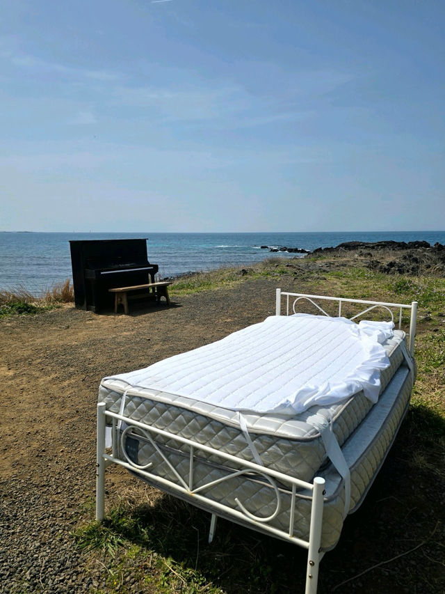 🪞🌊제주도 모알보알 구좌 오션뷰 카페 추천