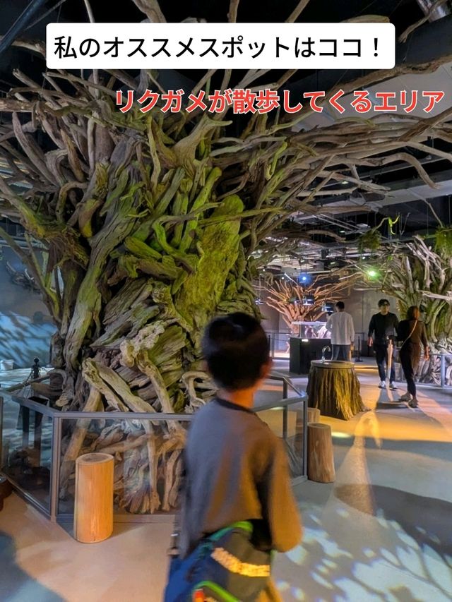 【神戸の水族館】水族館の年パス買うならココでしょ！