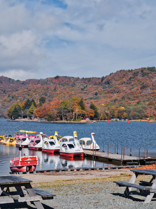【穴場の紅葉】観光攻略付‼️赤城山で最も雄大な紅葉と水鏡の絶景を楽しむ🌊 🍁⛩️✨