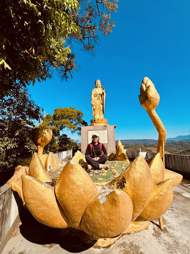靜謐山林裡的大佛手——南觀音山步道小旅行