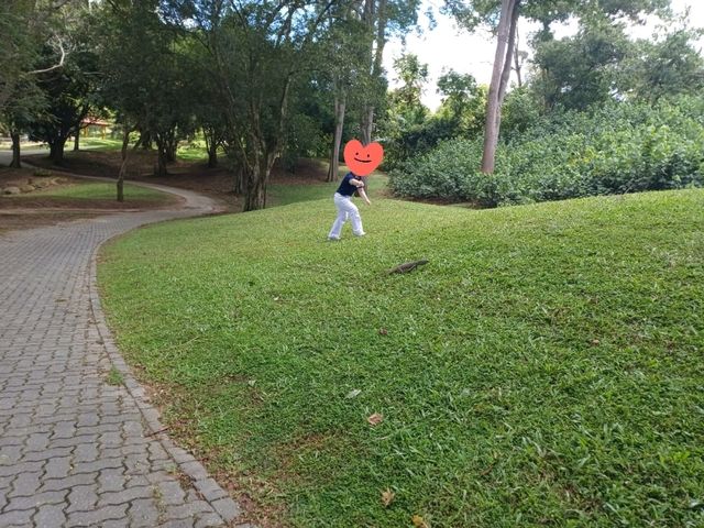 Crocodile course at ParkRoyal
