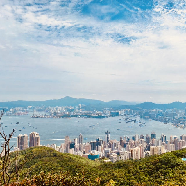 雙腳代替纜車：登太平山頂、爬『西高山』，一路看盡香港風光～