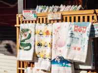 NAKAMISE STREET — The Soul of Asakusa