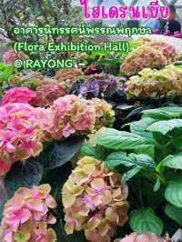 อาคารนิทรรศน์พรรณพฤกษา (Flora Exhibition Hall)