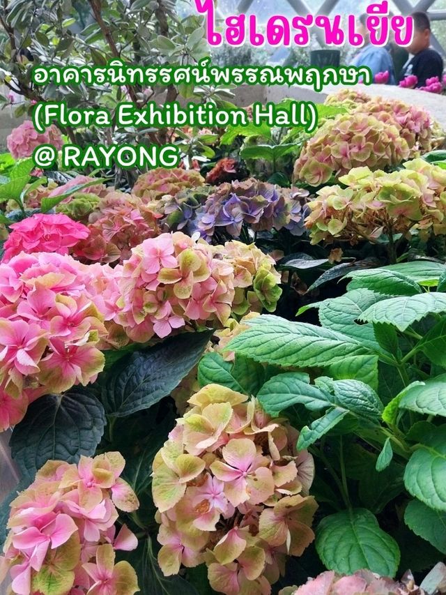 อาคารนิทรรศน์พรรณพฤกษา (Flora Exhibition Hall)