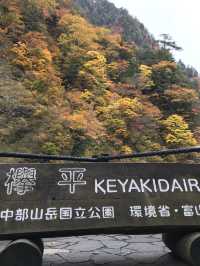【富山・黒部】絶景の終着駅！黒部渓谷トロッコ列車で行く欅平🚞🌲