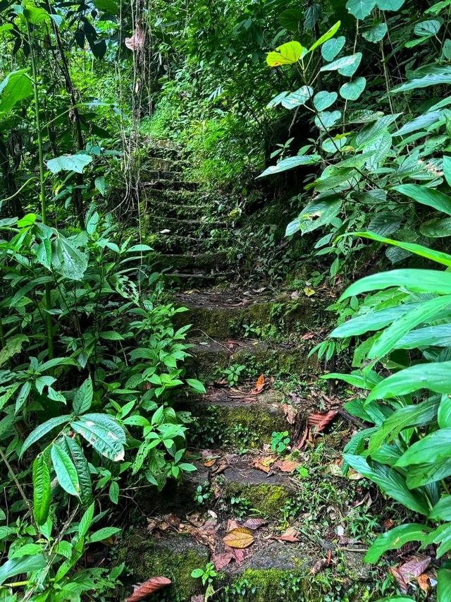 ⛰️ Putucusi Mountain – The Hidden Guardian of Machu Picchu