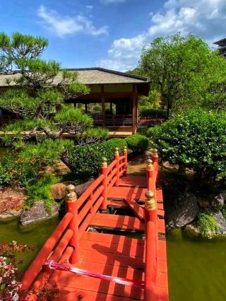 🌸🌿 Princess Grace Japanese Garden – Monaco’s Hidden Zen Paradise