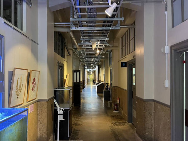 🎓🌿 Discover and Learn at The Hokkaido University Museum 🧬✨ 🎓🌿 Discover and Learn at The Hokkaido University Museum 🧬✨