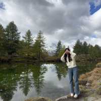 ์ค์์ค ์ฌํ์ ๊ฝ๐ธ ์๋ค๊ฐ 5๋ํธ์ ํธ๋ ํน๊ณผ ํจ๊ปํ๋ ๋งํ
ํธ๋ฅธ