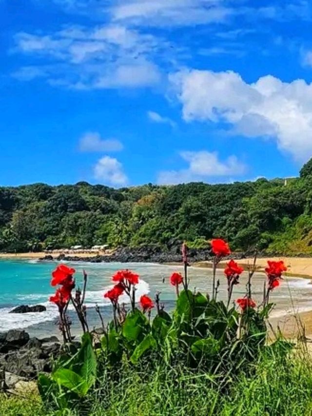 🏝️ “Fernando de Noronha Island – Brazil’s Hidden Ocean Paradise”