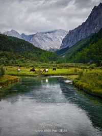 Epic Nature Escape: Daocheng, Yajiang & Litang Road Trip 🌄