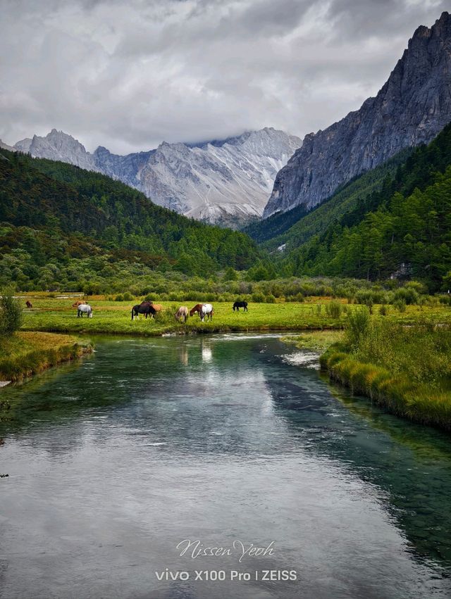 Epic Nature Escape: Daocheng, Yajiang & Litang Road Trip 🌄 Epic Nature Escape: Daocheng, Yajiang & Litang Road Trip 🌄