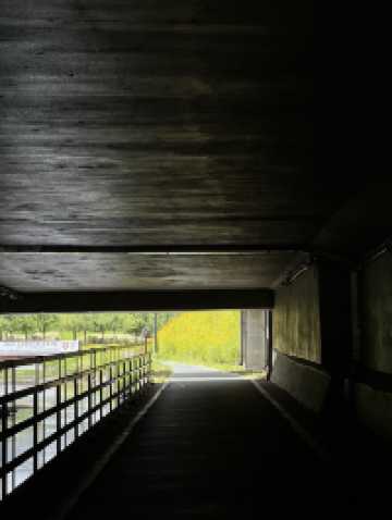 자연 따라 걷는 도심 속 산책길, 송파둘레길 나들이