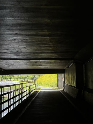 자연 따라 걷는 도심 속 산책길, 송파둘레길 나들이