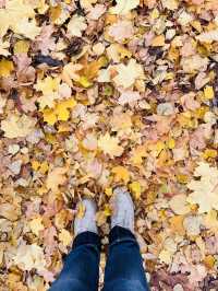 Sibelius Monumentti - อนุเสาวรีย์นักกวีดัง