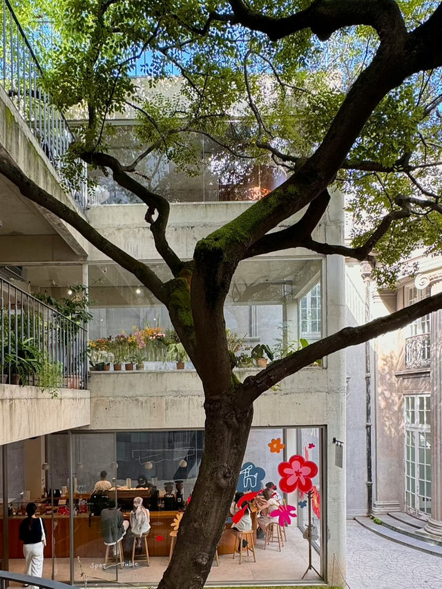 Shanghai After Dark: Ultimate Bund-Strolling Adventure 🌃✨